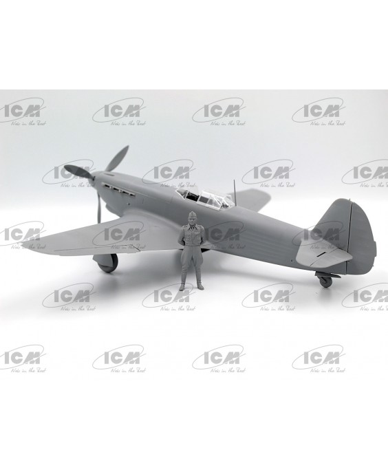 ICM modelis Normandie-Niémen. Plane of Roland de la Poype 1/32