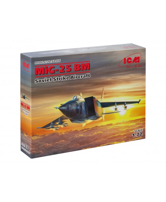 ICM modelis MiG-25 BM, Soviet Strike Aircraft 1/72
