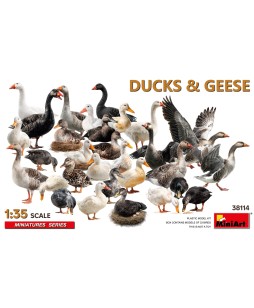 MiniArt DUCKS & GEESE 1/35