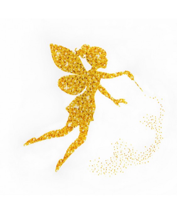 Siuvinėjimo biseriu rinkinys Golden fairy