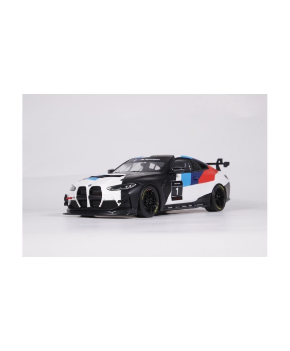 OTTO - BMW M4 GTT4 White presentation 2022,1/18