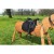 Balnas 160-254  + 189,90€ 