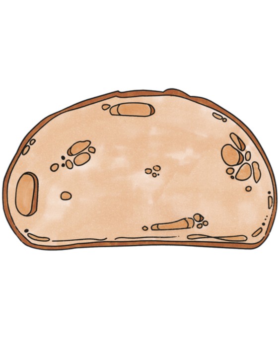 Antspaudukai - Maisto piramidė