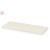 Balta sp. ( NS3431 ) 