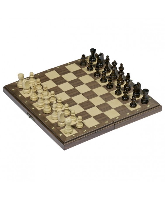 Goki žaidimas - Magnetiniai šachmatai